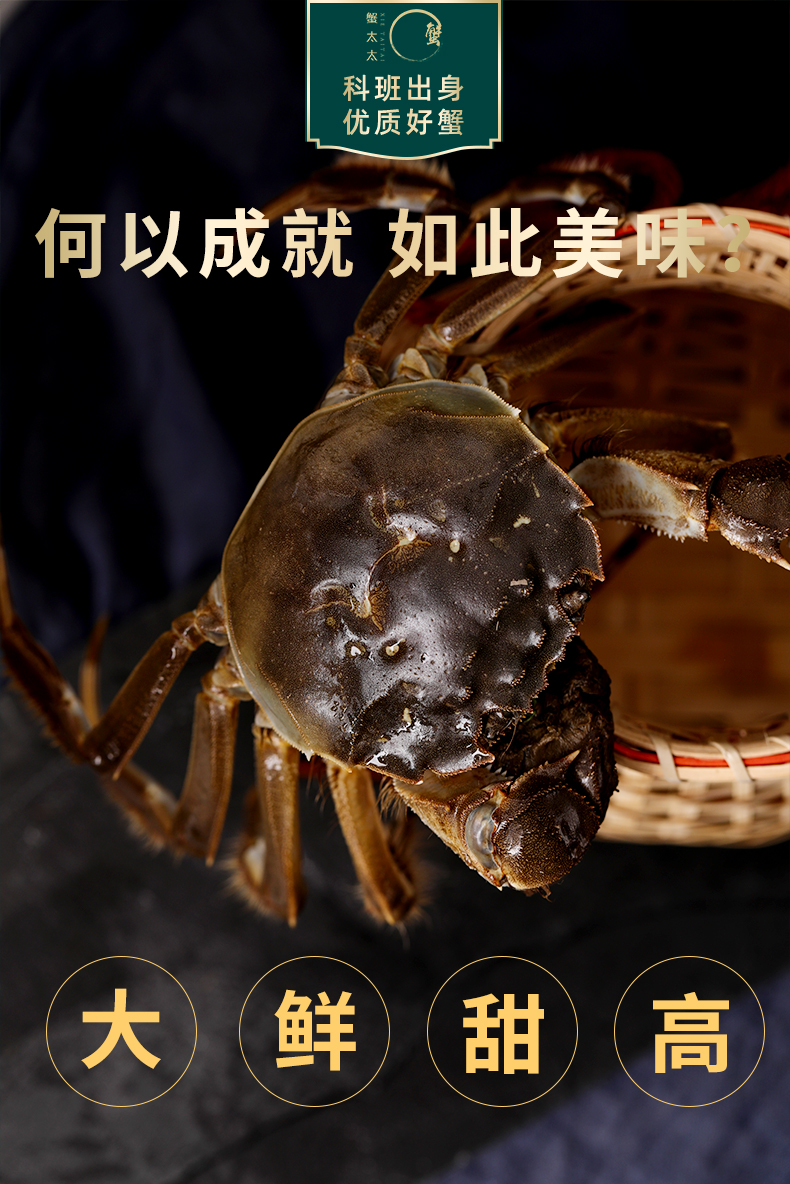 详情页2.jpg