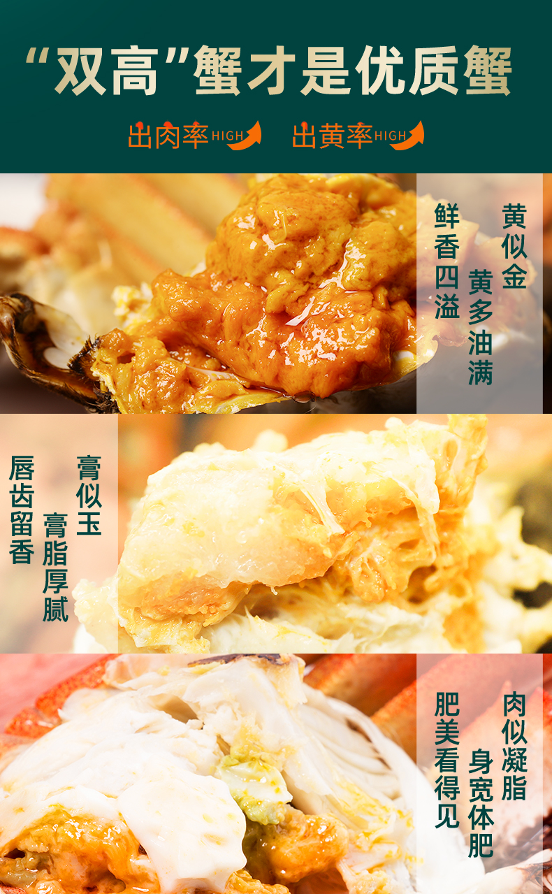 详情页4.jpg