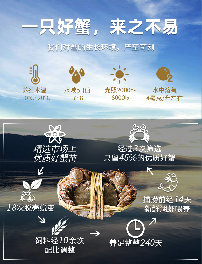 详情页7.jpg